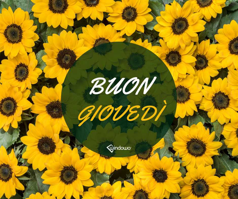 buon giovedi immagine girasoli