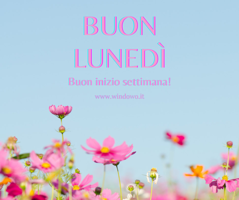 buon lunedì whatsapp fiori colorati