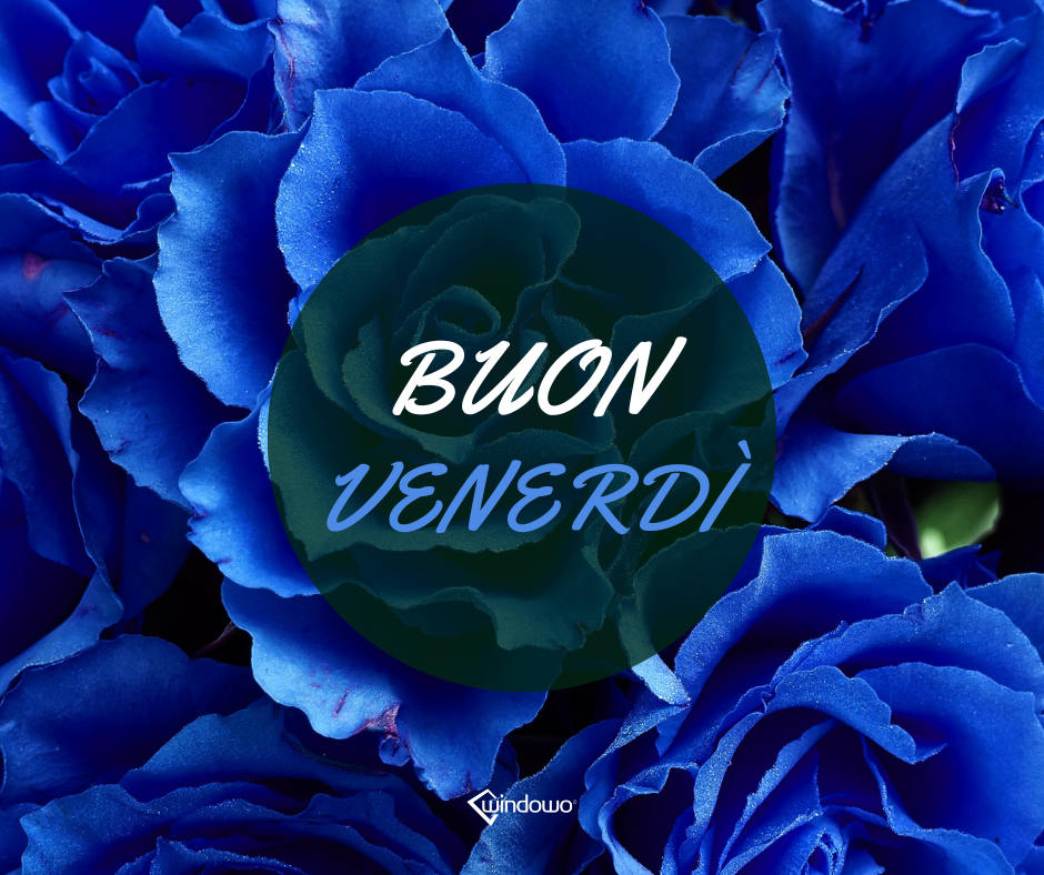 buon venerdì immagine rose blu