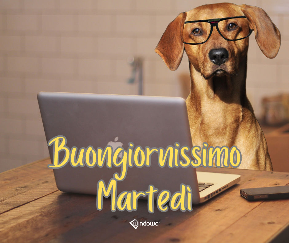 immagini buongiornissimo martedì cane