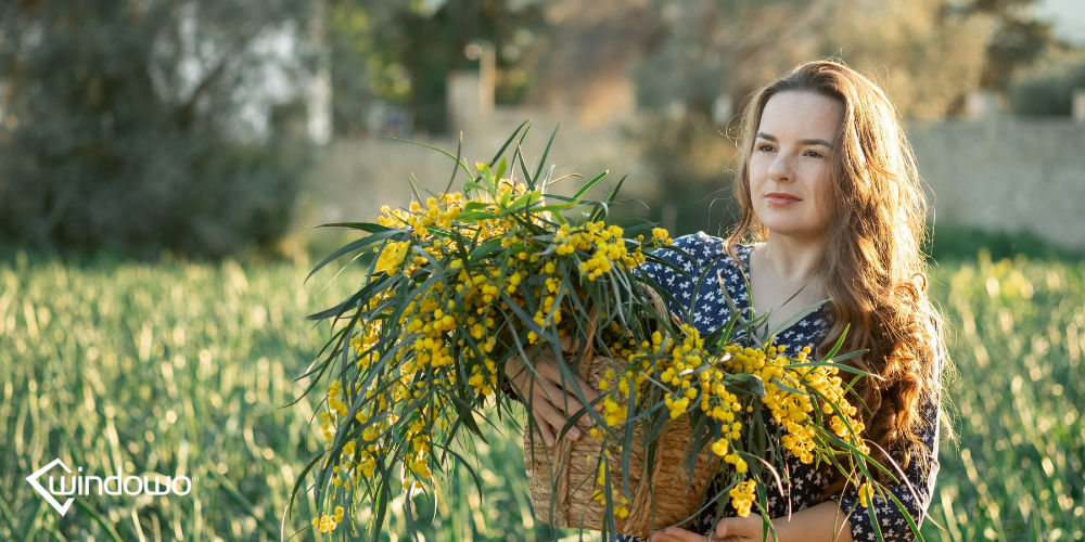 festa della donna italia mimose