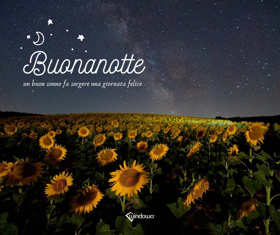 immagini buonanotte girasoli fiori notturni