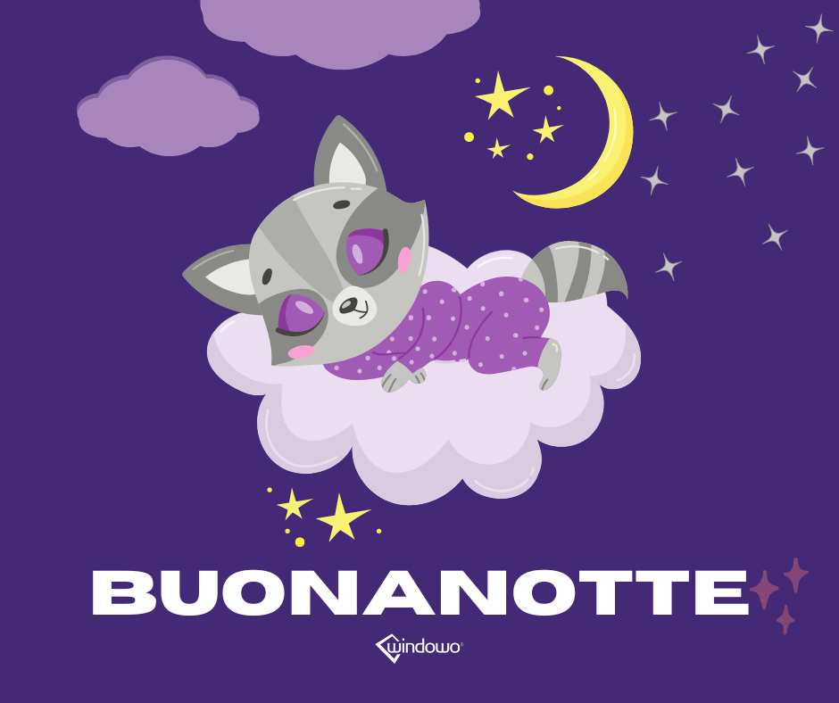 immagini buonanotte procione