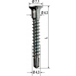 Viti Speciali Antieffrazione Ferramenta Varie Dimensioni 1000 pz Heicko