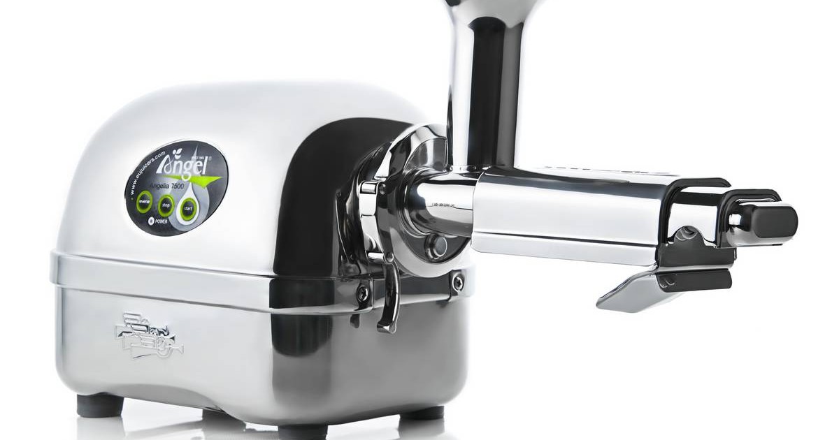 Estrattore di Succo in Acciaio Inox - Angel Juicer 7500